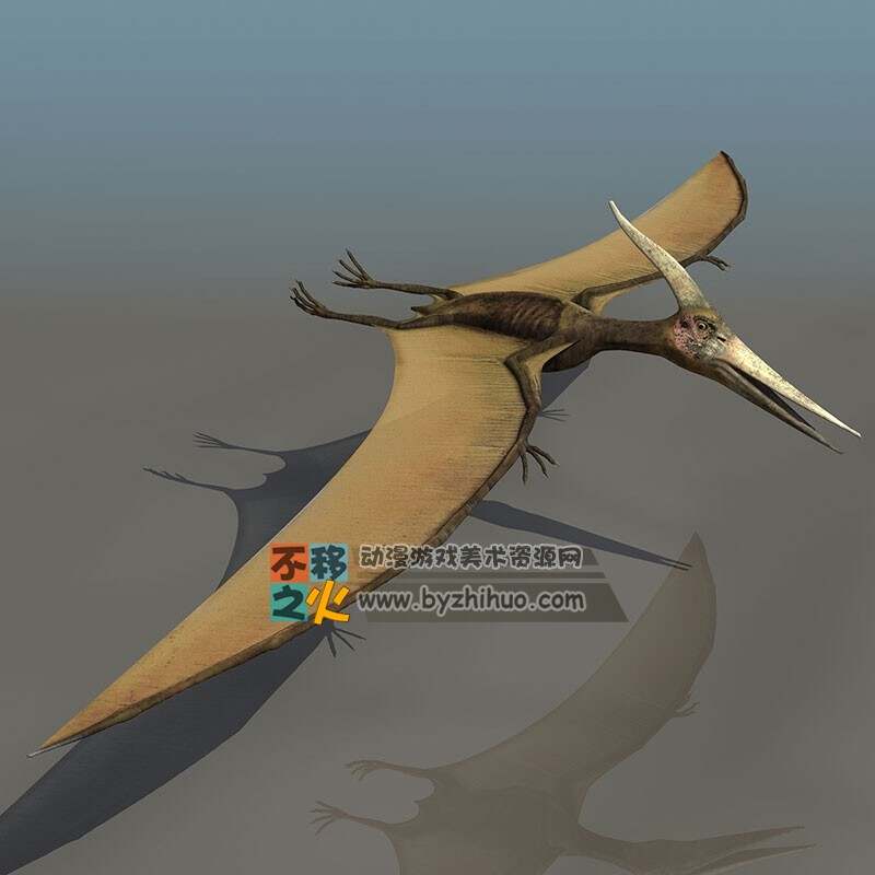Pterosaurs 翼龙 3DS 模型