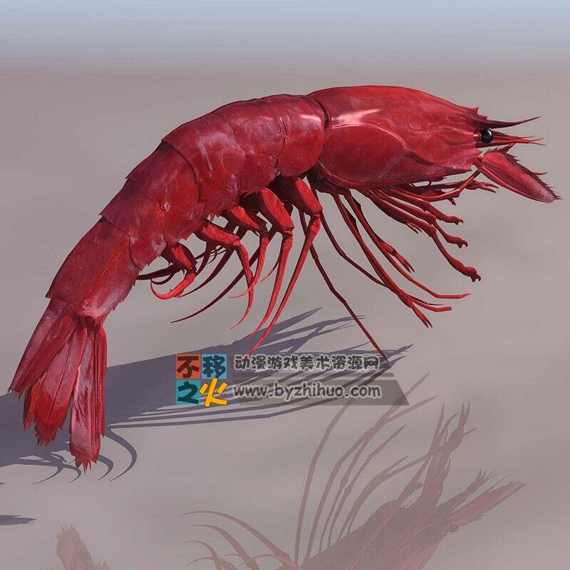 lobster 龙虾3号 3DS模型