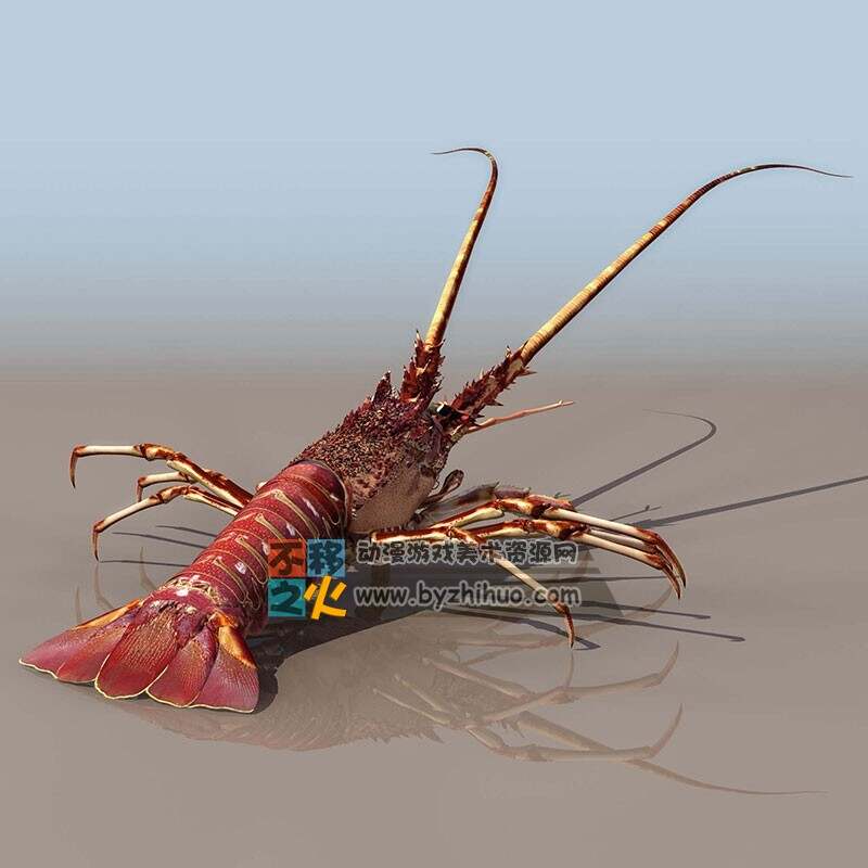 lobster 龙虾4号 3DS模型