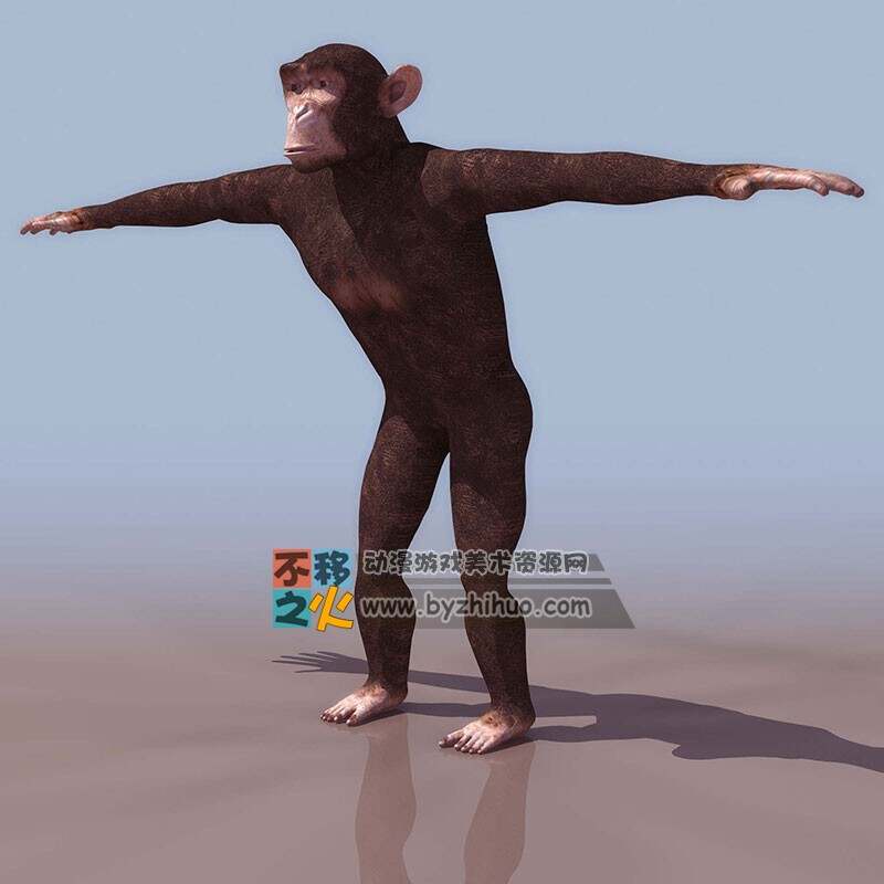 Monkey 猴子3DS模型