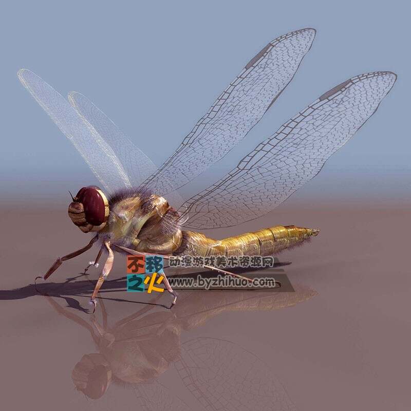 Dragonfly 蜻蜓 3DS模型