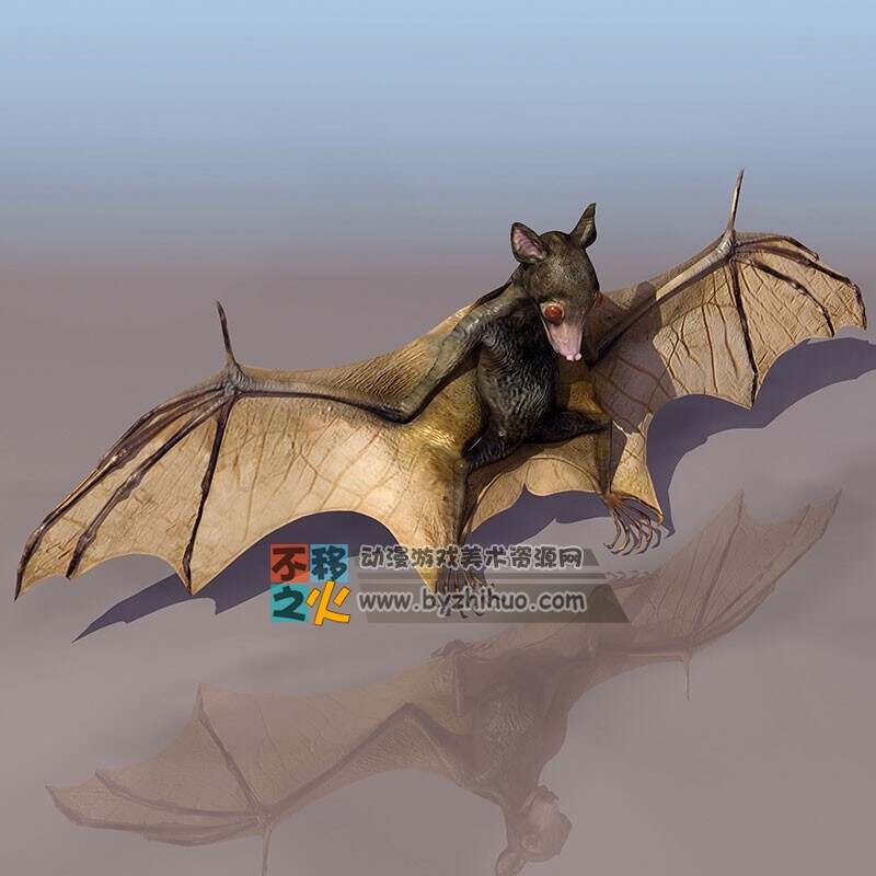 Bat 蝙蝠3DS模型