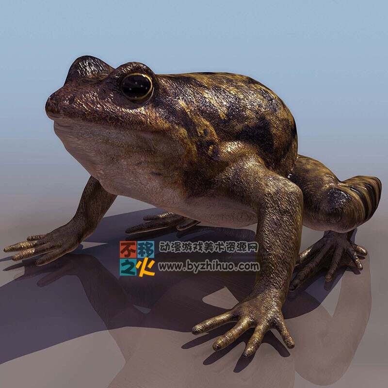 toad 懒蛤蟆 3DS模型