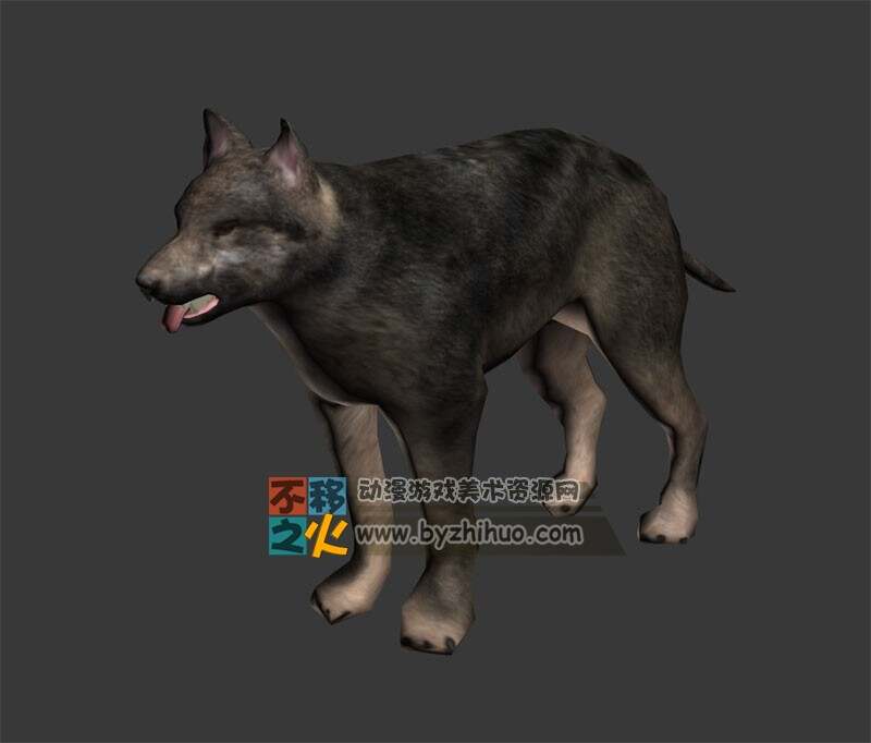 wolf 小狼 Max模型