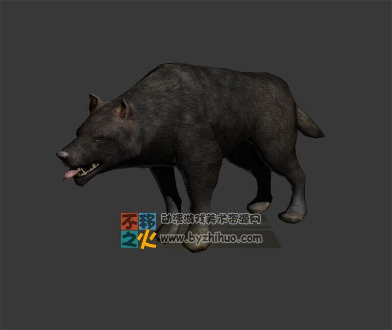 wolf 狼 Max模型