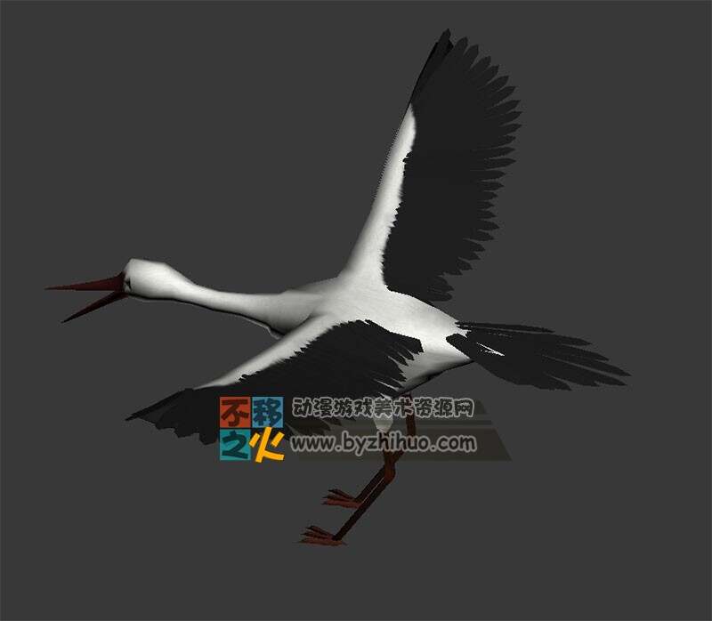 Red-crowned crane 丹顶鹤Max模型  较简化