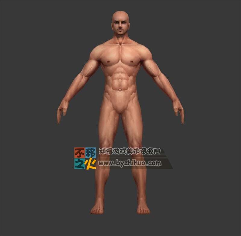 标准体型 成男 壮汉模型