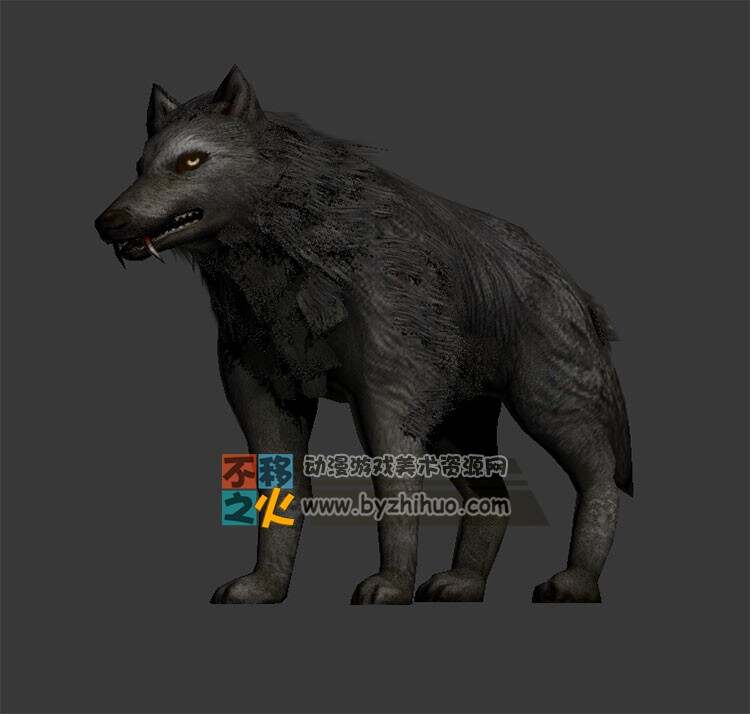 wolf 长着獠牙的黑狼 Max模型
