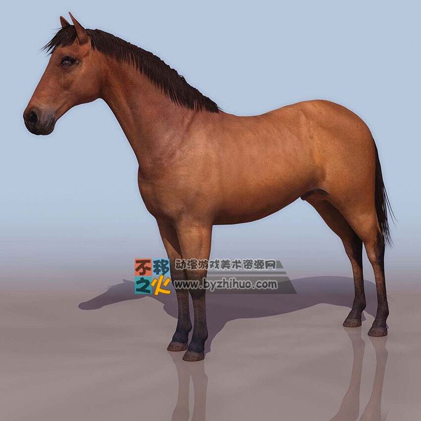 Horse 棕色的马匹 3DS模型
