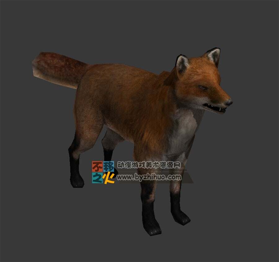 Fox 狐狸Max模型