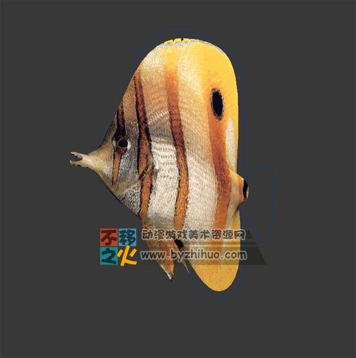一条热带鱼 Max模型