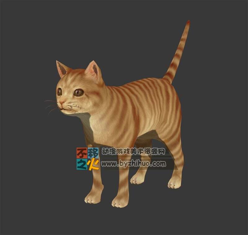 Cat 猫 Max模型