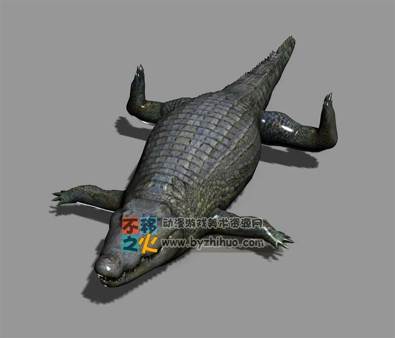 crocodile 鳄鱼 Max模型