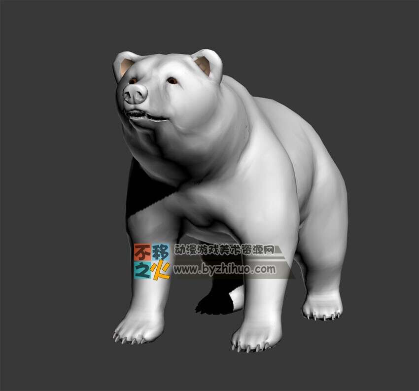 The bear 熊Max 模型