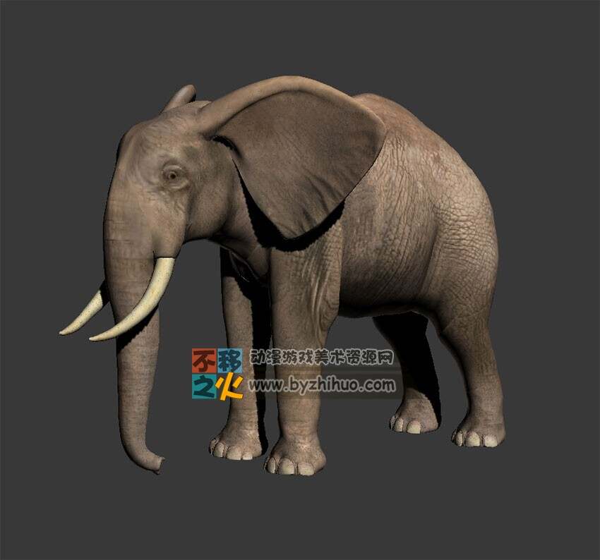 Elephant 大象Max模型