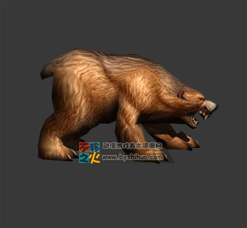 The bear 熊 Max模型