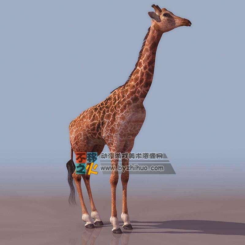 超写实长颈鹿3DS模型