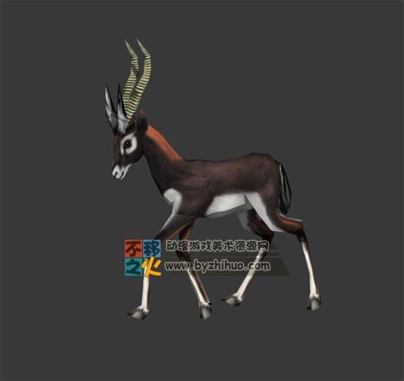 Antelope 羚羊Max模型