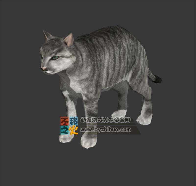 Cat 写实小猫 MAX模型