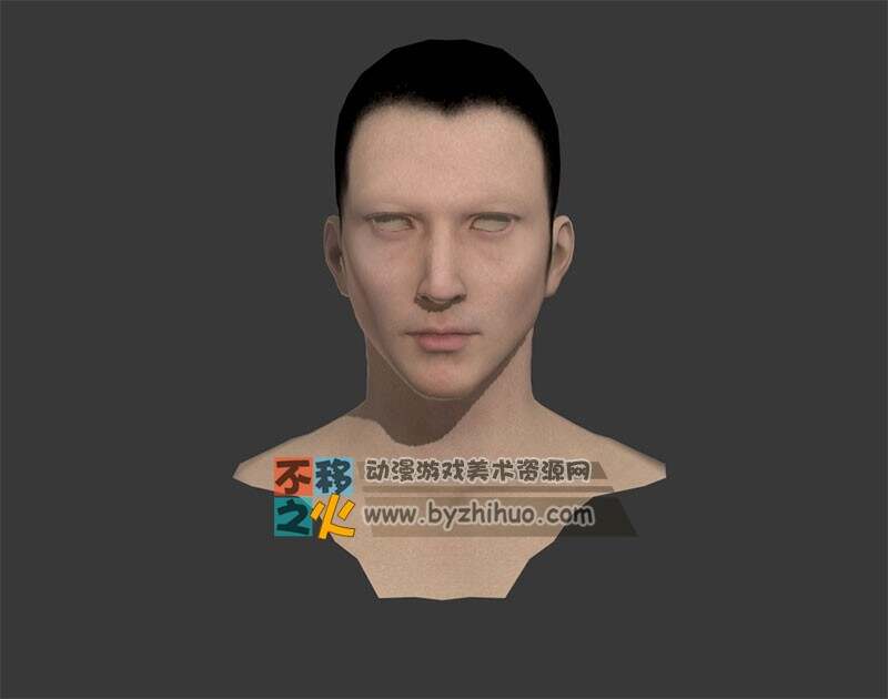 成男 帅哥 男头部模型