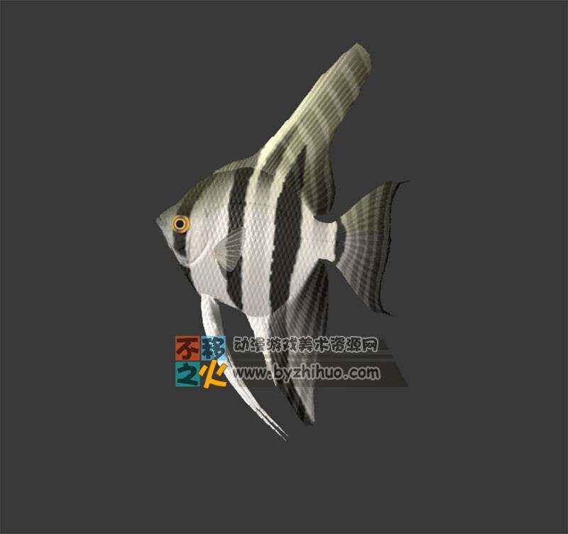 fish 热带鱼 3D模型