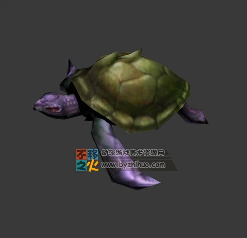 Sea turtle 两只海龟 Max模型