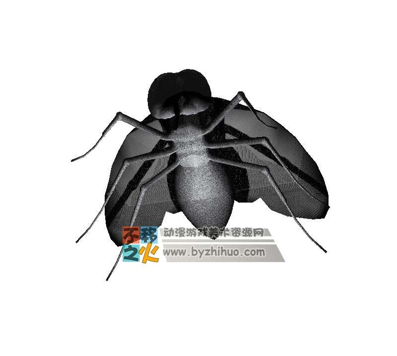 fly 简化苍蝇3DS模型