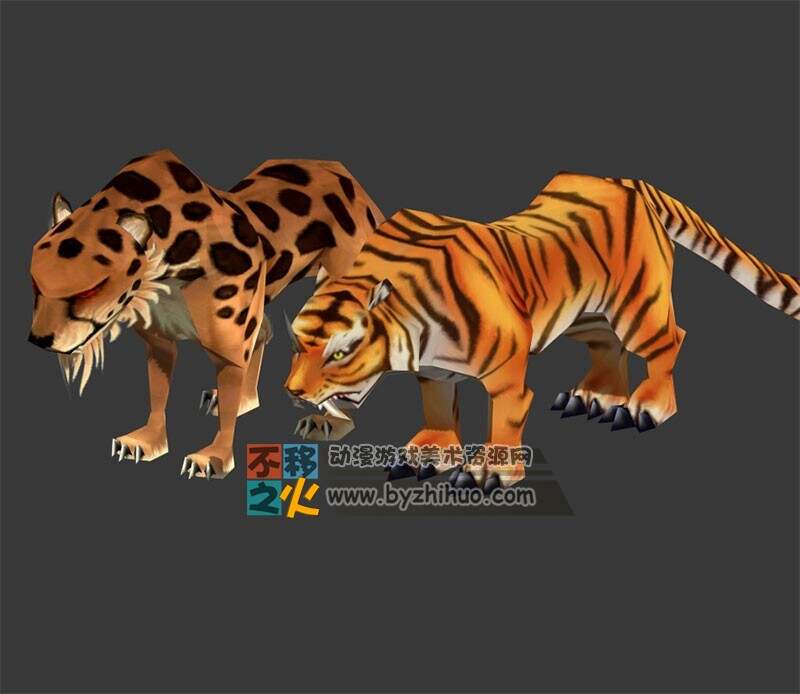 豹子老虎合集 Max模型