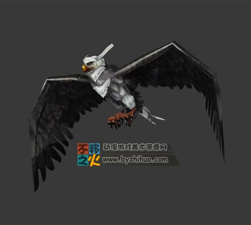 白首鹰 Max模型 三边面含动作