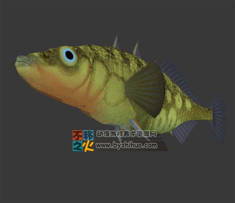 水族之大眼鱼 3DS模型