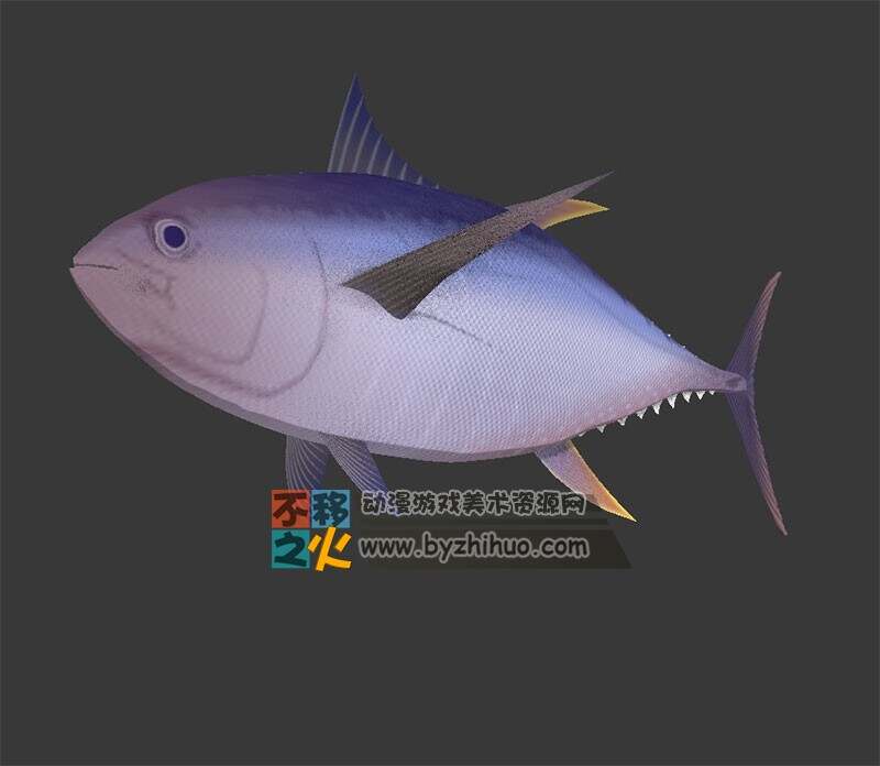 水族之咸水鱼 3DS模型