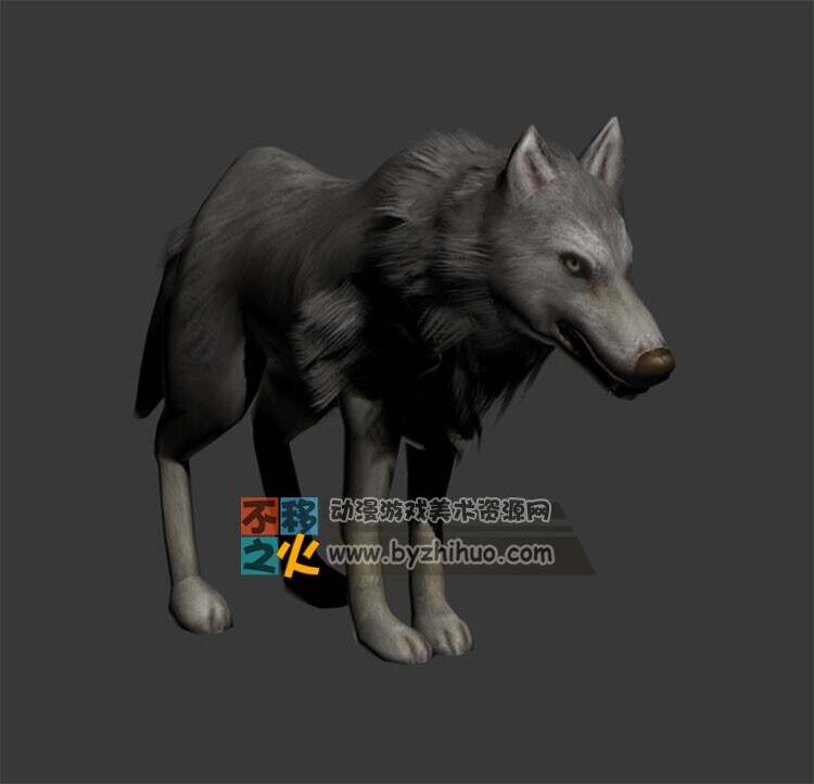 小灰狼 Max模型