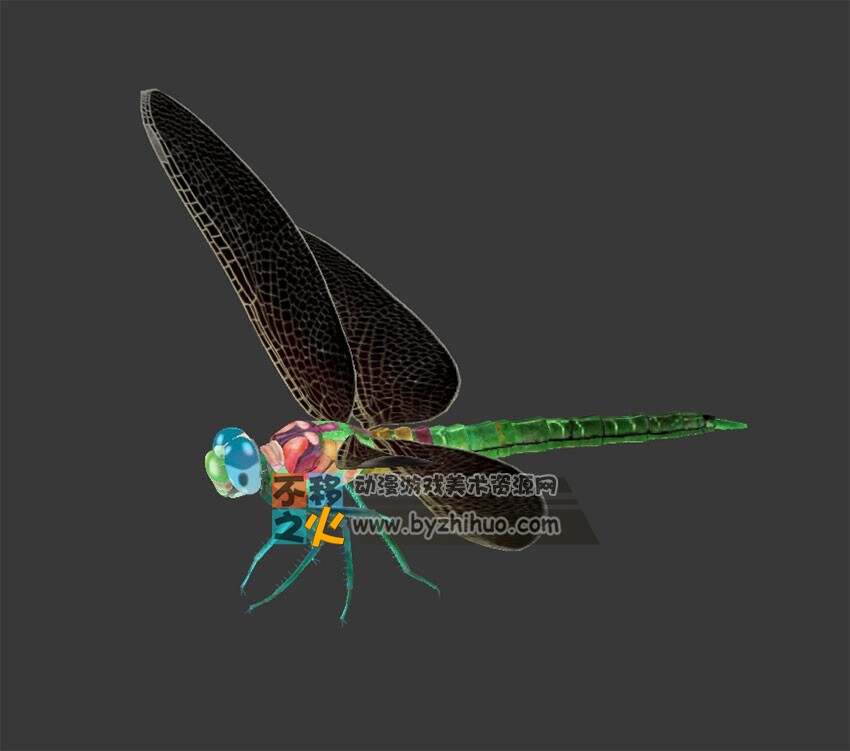 飞行中的蜻蜓 Max模型
