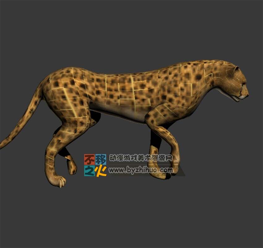 行走的猎豹 Max模型