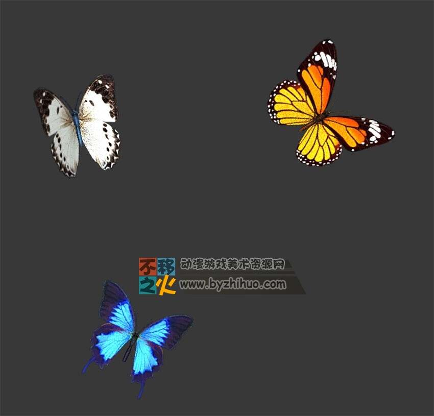 动物动作之三只蝴蝶 Max模型