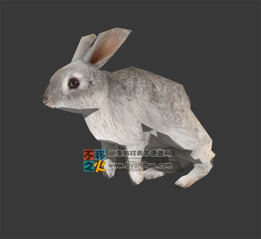 动物动作之兔子 Max模型