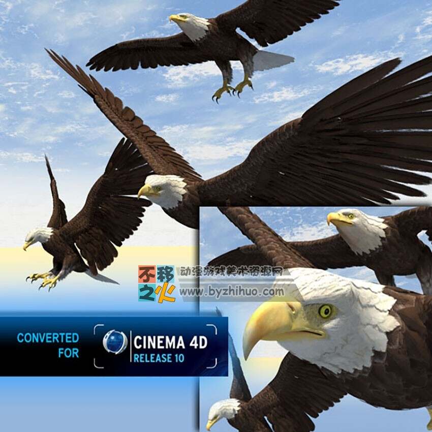 三只飞鹰 3D模型