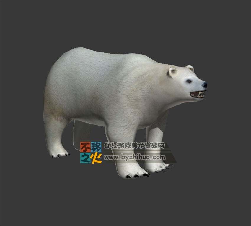 北极熊 Max模型