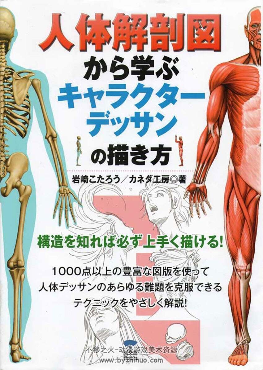 人体解剖图鉴 漫画角色身体结构绘制教程