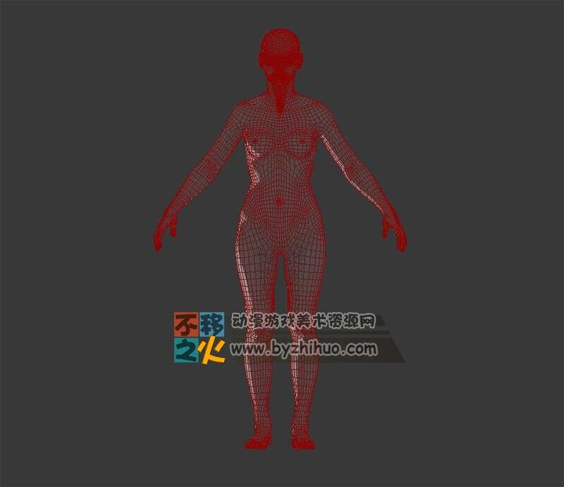 标准 人体 次世代  男头 女体 模型