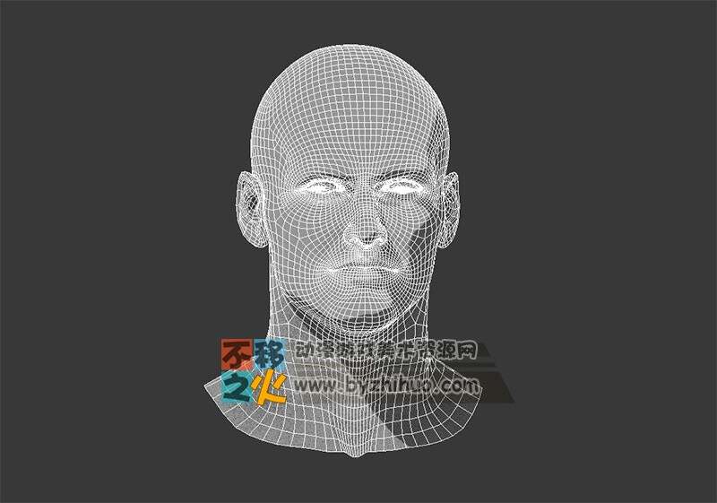 标准 人体 次世代  男头 女体 模型