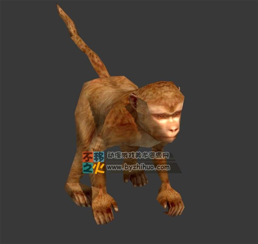 小猴子 Max模型