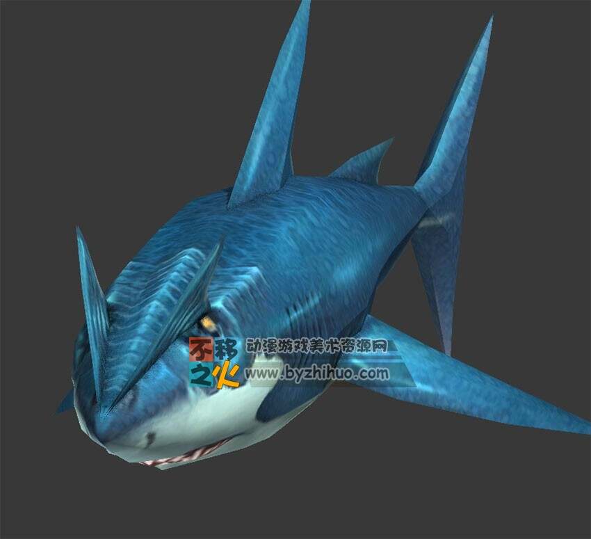 蓝鲨鱼 Max模型