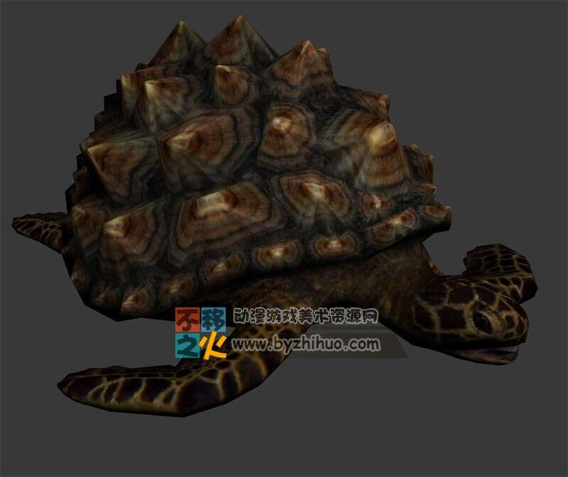 巨背海龟 Max模型