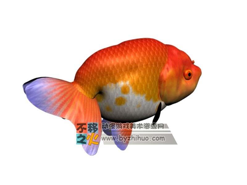 红色小金鱼 Max模型