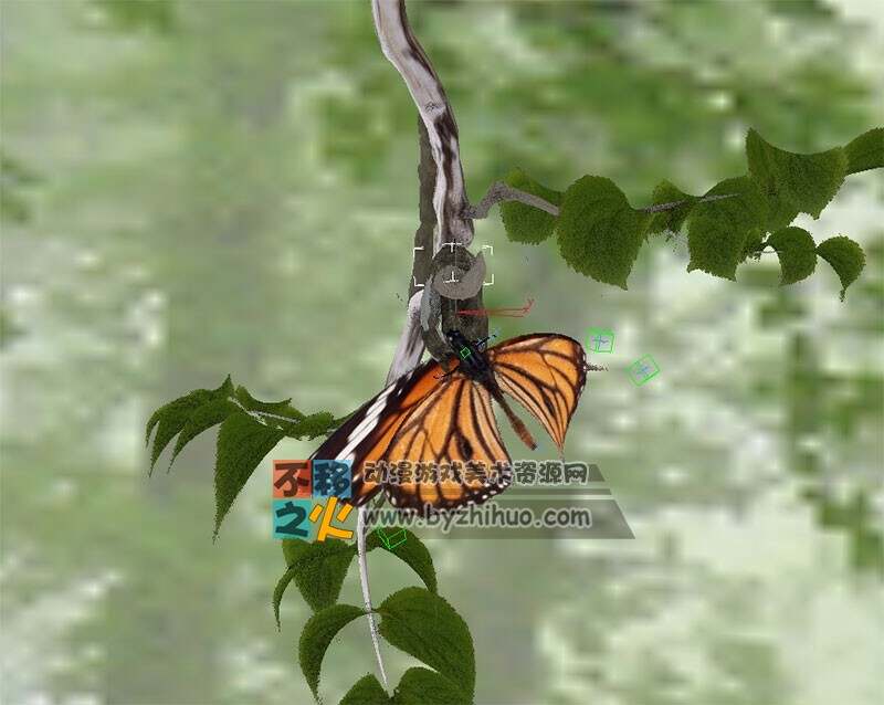 蝴蝶 破茧 森林 模型