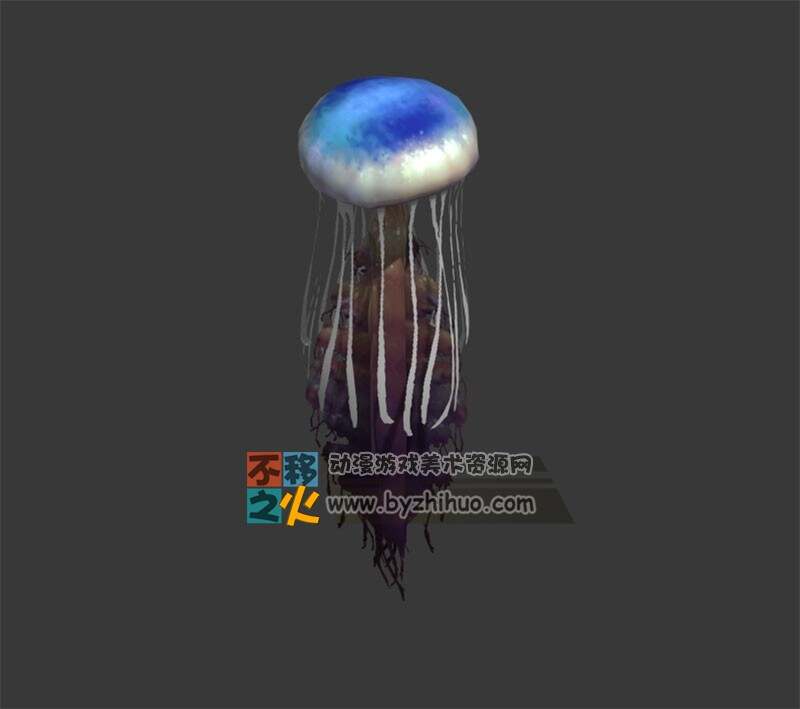 漂亮的水母 Max模型
