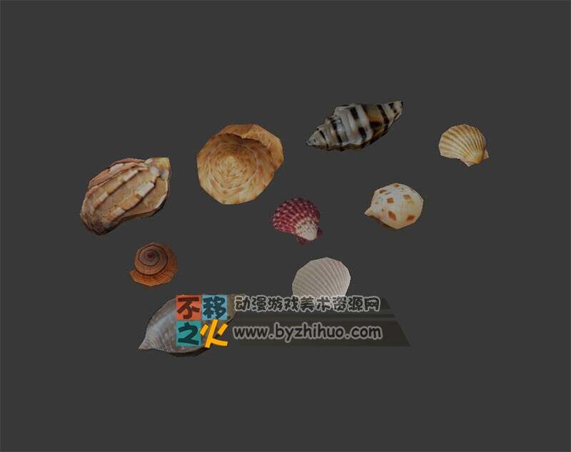 贝壳  海螺 海产 模型