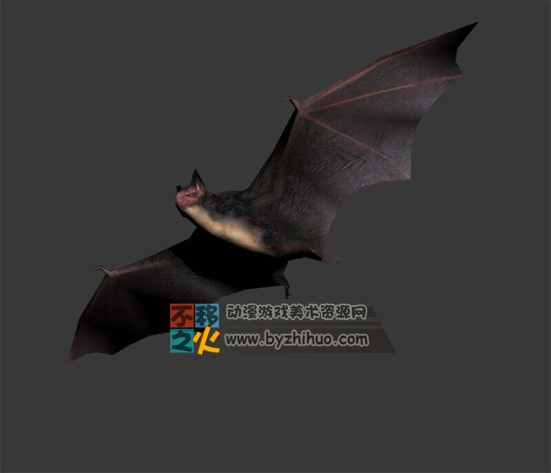 Bat 蝙蝠 Max模型