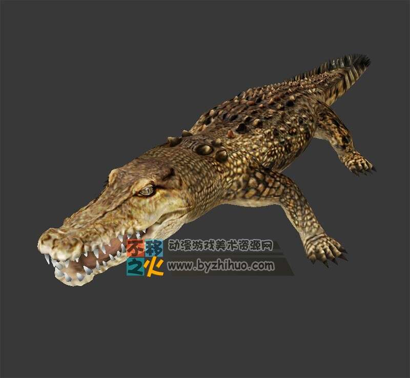 crocodile 鳄鱼 MAX模型 四边面